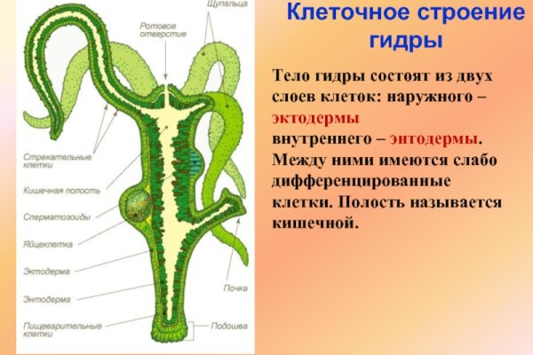 Как пополнить кошелек на кракене даркнет