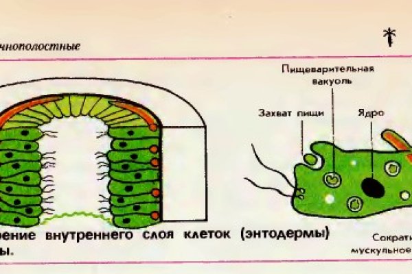 Скачать кракен тор