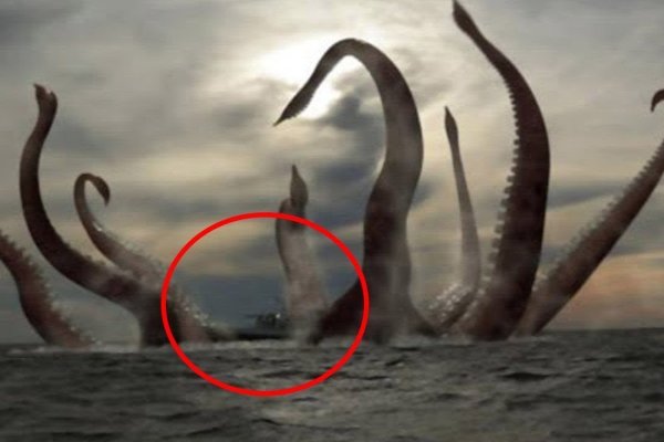 Hydra маркетплейс