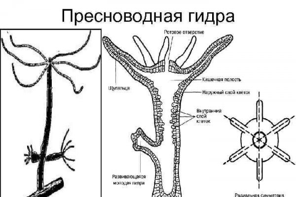 Как пополнить кошелек на кракене даркнет
