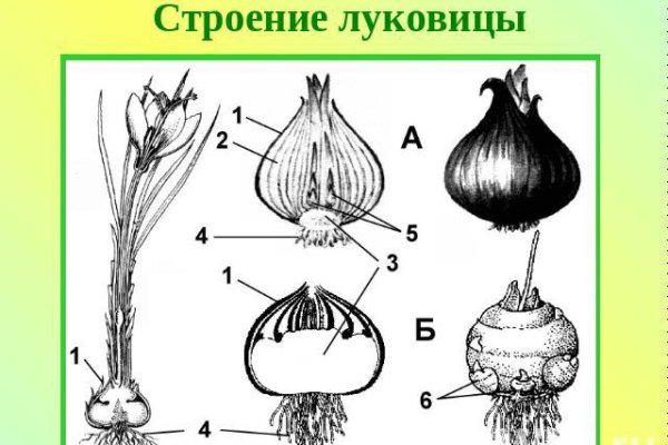 Кракен сайт 1kraken me вход