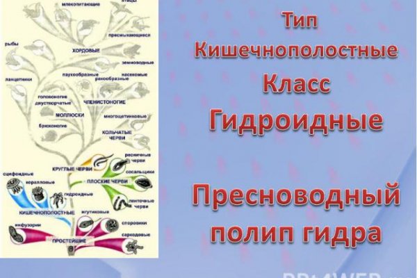 Кракен сайт kr2web in цены